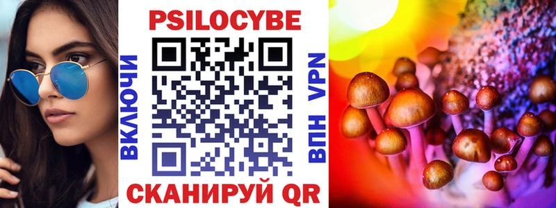 Галлюциногенные грибы Psilocybe  наркота  Горячий Ключ 
